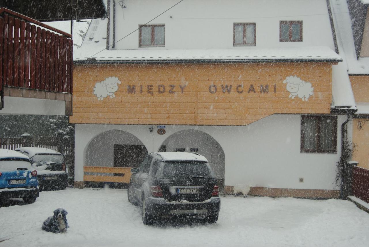 Miedzy Owcami Διαμέρισμα Sromowce Wyzne Εξωτερικό φωτογραφία